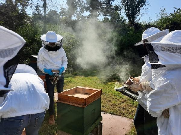 Atelier d'apiculture