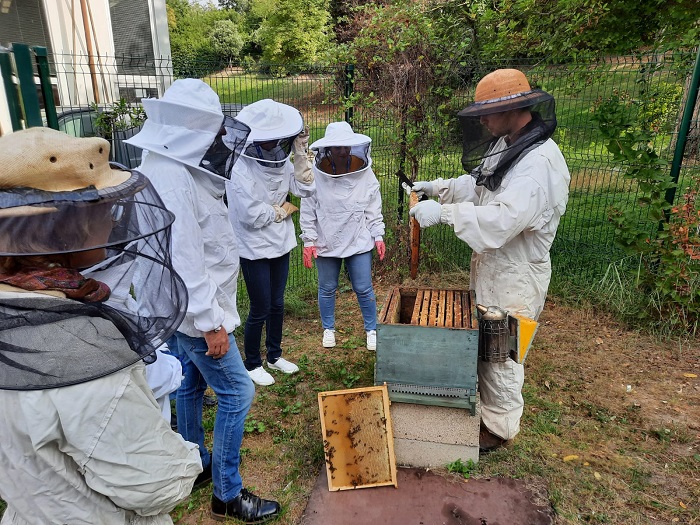Atelier d'apiculture