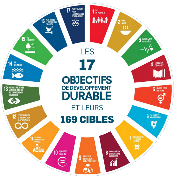 Les Objectifs De Développement Durable - ODD - RSUDD